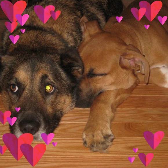 Meet your Posher, Leeanne - Picture 1 of 1